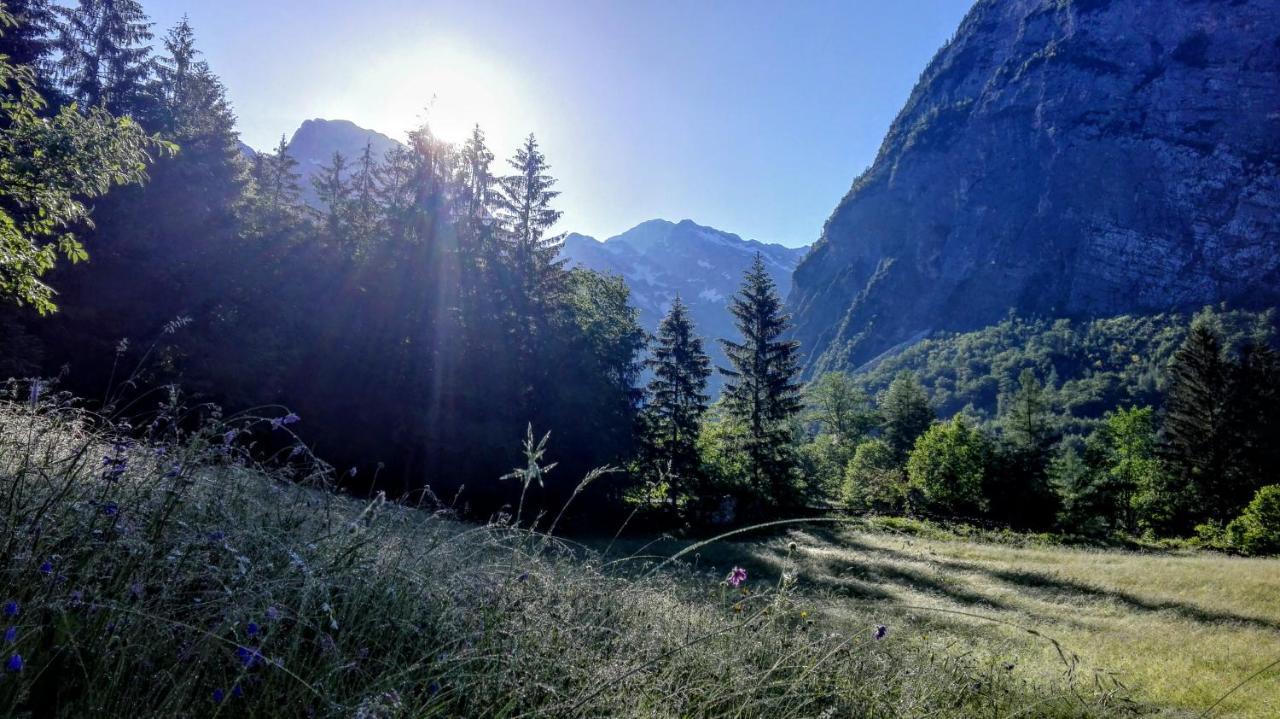 Cottages Kravanja Trenta Eksteriør bilde