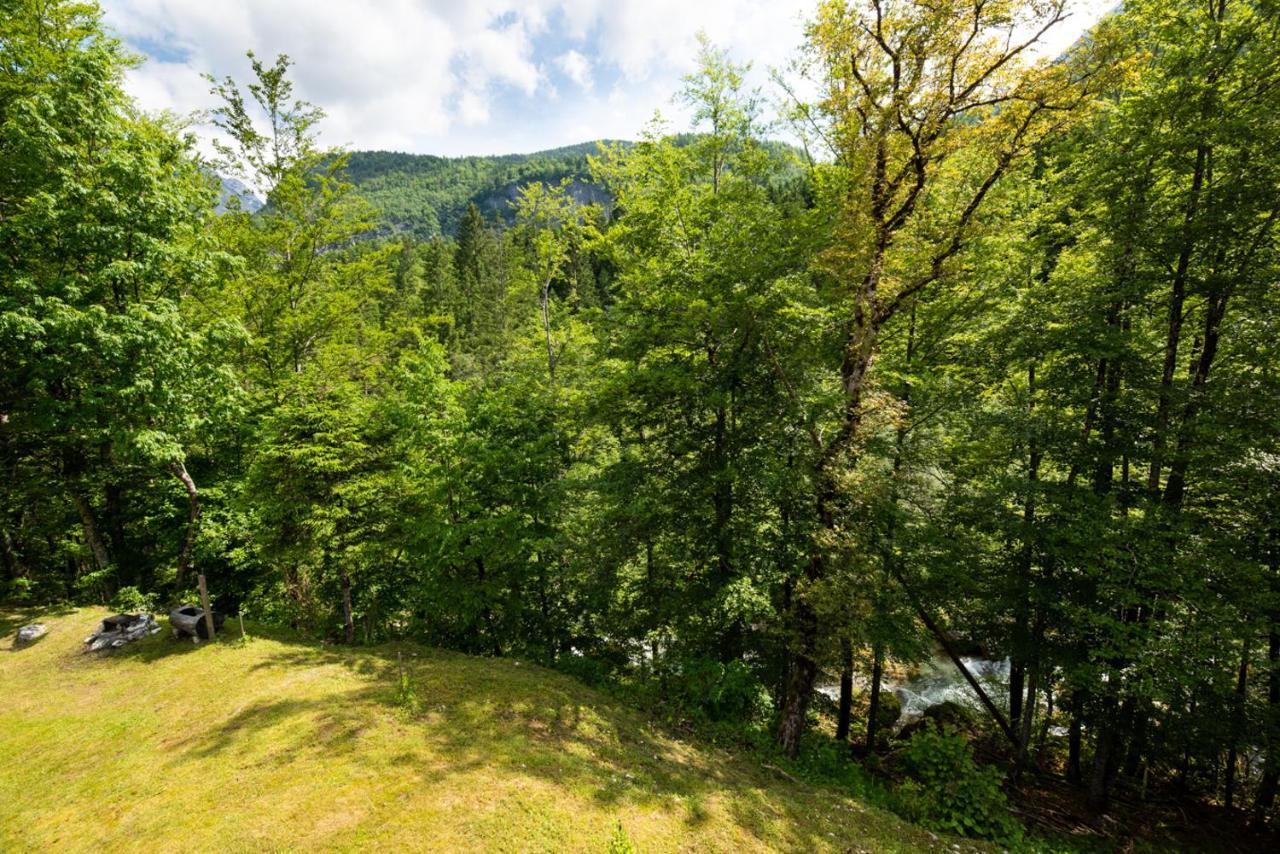 Cottages Kravanja Trenta Eksteriør bilde